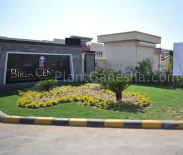 birla century